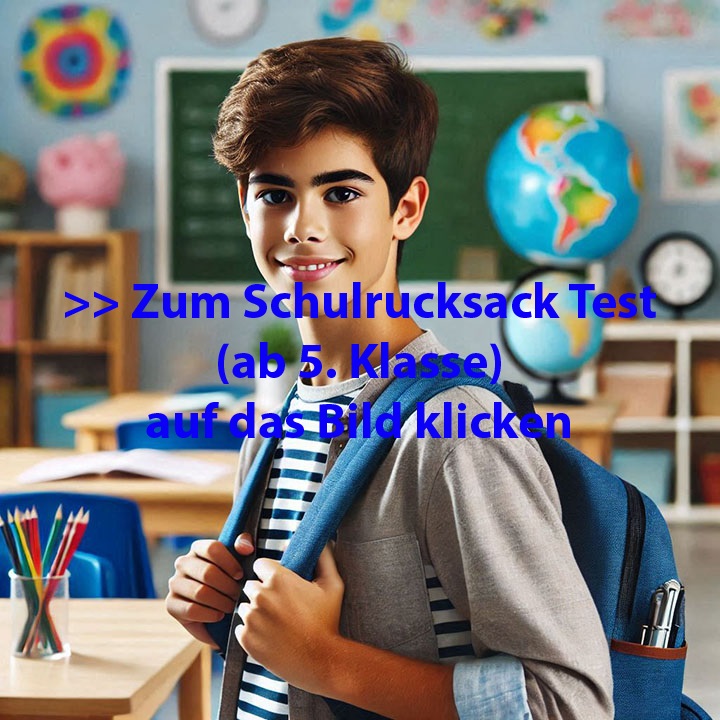 Schulrucksack Test
